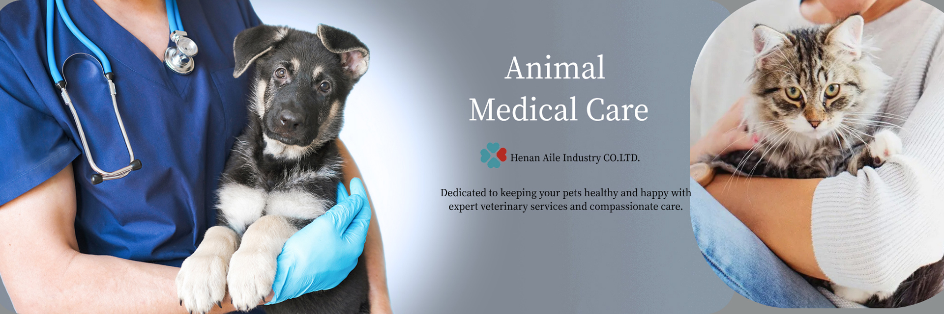 کیفیت سیستم جمع آوری خون خلاء کارخانه