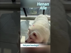 چطور پاهاي حيوانات خوندي رو ببنديم؟